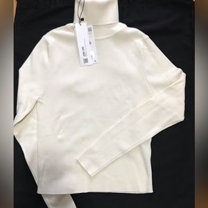 Zara Turtleneck